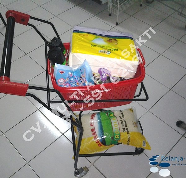 Handcarry-Trolley-4